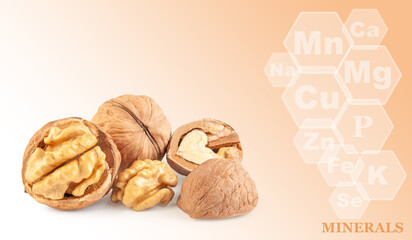 fresh kernels, broken and whole walnuts close-up isolated on color gradient background with markings of minerals found in walnut