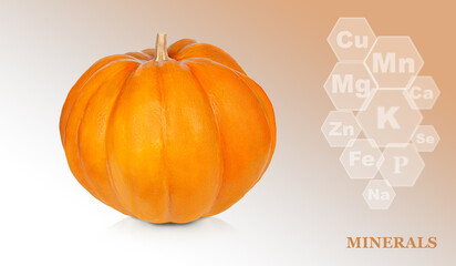 pumpkin isolated on a colored gradient background with markings of minerals found in pumpkins