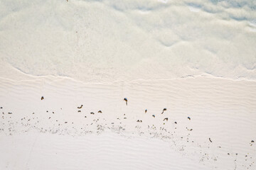 From above, one can see the breathtaking beauty of Zanzibar's sandy beaches, adorned with palm trees, umbrellas, white sand, and the crystal-clear waters of the Indian Ocean.