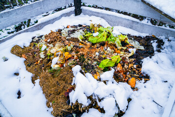 Compost heap in snow in winter, closeup