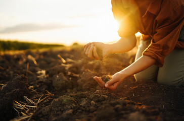 Woman farmer's hand touch the soil and check its health before growing plants, vegetables, seeds. A farmer collects soil against the backdrop of sunset. Concept of agriculture, business and ecology.