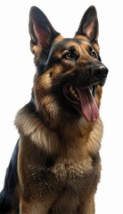 Illustration of a German Shepherd sitting with its tongue out created with Generative AI technology