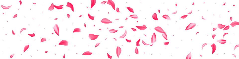 Red Rose Spring Vector Transparent Panoramic