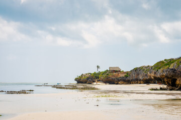 Zanzibar's beaches offer a picture-perfect setting for a summer vacation, as seen from an aerial view, with palm trees, umbrellas, white sand, and the crystal-clear waters of the Indian Ocean.