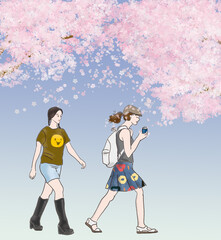 Two Walking girls under the Cherry blossoms in full bloom and  fluttering floral leaves.