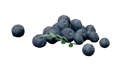 Blueberry