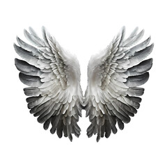Obraz premium angel wings PNG.
