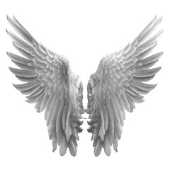 angel wings PNG.