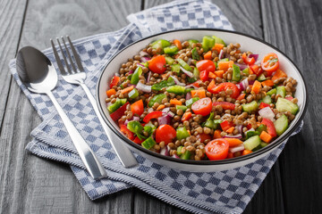 Vegetable salad with boiled lentils seasoned with olive oil close-up in a plate on a wooden table. Horizontal