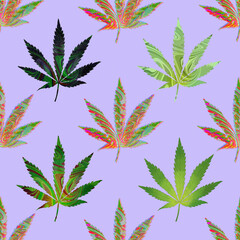 Cannabis leaf. Weed. Marijuana plant. Sativa. Hemp. Digitally hand drawn illustration. Art. Graphic design element. Endless repeatable pattern. Seamless texture. 