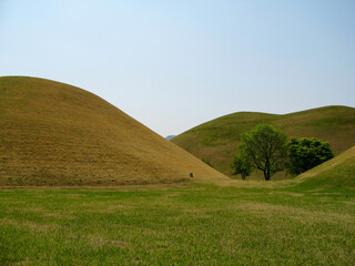 Obraz premium 왕릉