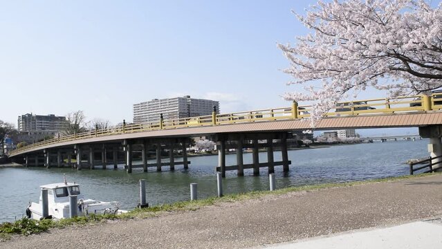 春の瀬田唐橋と瀬田川の風景、桜と瀬田の唐橋、滋賀県大津市の春の町並み