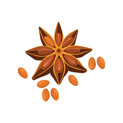 Vector illustration of star anise, star anise seed and cinnamon sticks. Star anise spice fruits and seeds isolated on white background closeup
