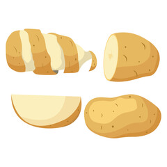Vector illustration of potato, set of fresh whole and sliced potatoes isolated on white background. Half peeled potato with the twirling skin peel over it, chip, chips