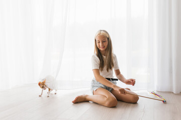 Caucasian teen girl sitting on the floor playing with a cat cornish rex with a stick teaser in the...