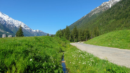 Obraz premium Chamonix am Mont Blanc in Frankreich 