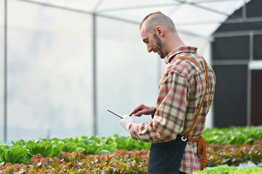 Image of smart farmer using digital tablet monitor quality organic vegetable in greenhouse before harvest