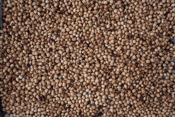 Lots of scattered cherry pits