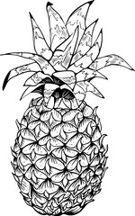 Line art single pineapple fruit sketch black on white background