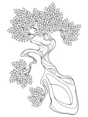 Twisted tree trunk with leaves. Bonsai. Decorative hand drawn design element. EPS10 vector illustration