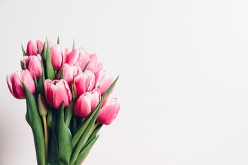 Beautiful bunch of fresh tulips in full bloom against white background. Negative space for text. Spring flowers.