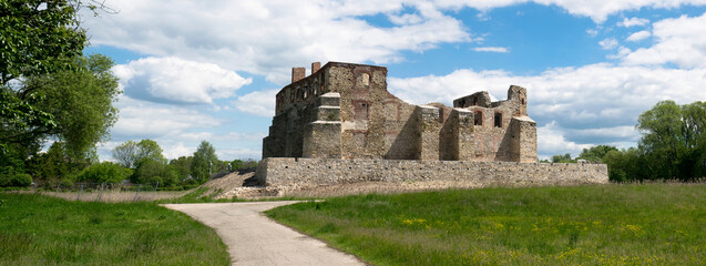 Zamek w Siewierzu. Panorama.
