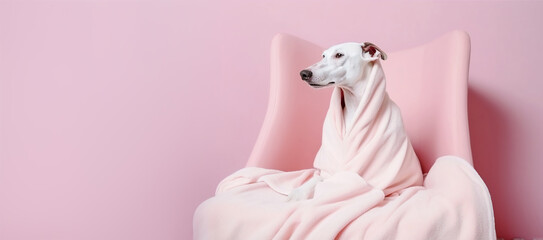 Dog is relaxing on pink armchair. Pets spa, grooming salon, pet resort. Animal care service, bathing. Rest, relax, wellness. Banner with copy space for text, advertising. Generative AI.