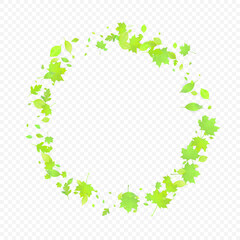 Leaves Falling Spring Flying Foliage Green Leaf