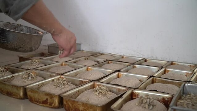 The Breadwinner: A Celebration of Bread in All Its Forms