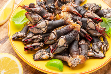 Raw goose barnacles close up on yellow plate on wooden table.