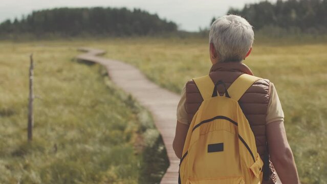 Medium Rear View Shot Of Grey Haired Female Tourist With Trekking Poles In Hands Hiking On Wooden Trail In Countryside On Summer Day