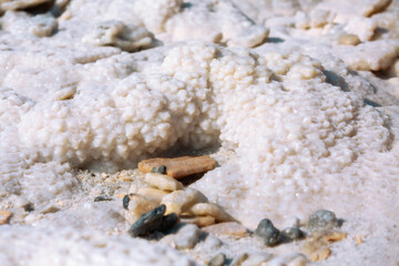 Close-up of Dead Sea salt mineral natural formation crystals in Jordan