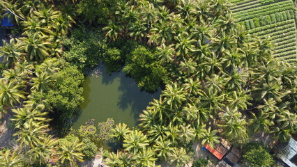 aerial view of the pond.JPG