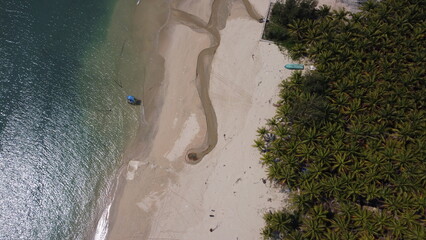 aerial view of the beach and forest.JPG