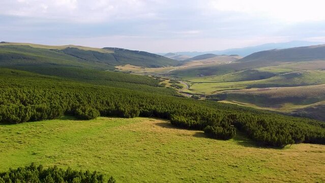 Drone View Over A Green Mountain Valley Surrounded By Lush Vegetation, Piatra Arsa  Romania