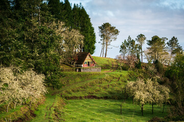 Taditional houses in Queimadas Forest Park in Santana, Madeira near Caldeirao Verde waterfall, Portugal.