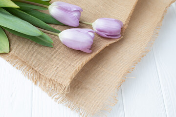 White delicate tulips on a white wooden background. Spring background with a bouquet of flowers. Top view