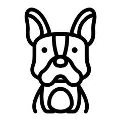 french bulldog