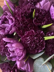 A beautiful bouquet of lilac tulips and fluffy carnations with green eucalyptus