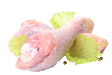 Raw chicken leg isolated