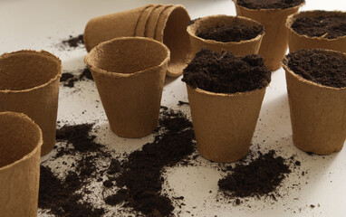 Cardboard pots with garden soil and planted seeds close-up