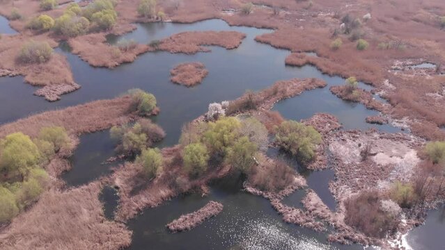 Vacaresti Nature Park, Bucharest. View from the drone