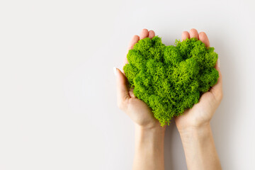 Fototapeta World earth day concept with green plant heart on blue background, obraz