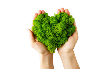 World earth day concept with hands holding green plant heart on transparent background , flat lay, top view, banner - obrazy, fototapety, plakaty