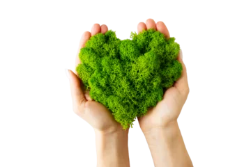 Foto op Canvas World earth day concept with hands holding green plant heart on transparent background , flat lay, top view, banner © Denira