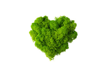World earth day concept with green plant heart on transparent background , flat lay, top view,...