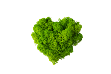 World earth day concept with green plant heart on transparent background , flat lay, top view, banner