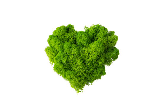 World earth day concept with green plant heart on transparent background , flat lay, top view, banner - Powered by Adobe