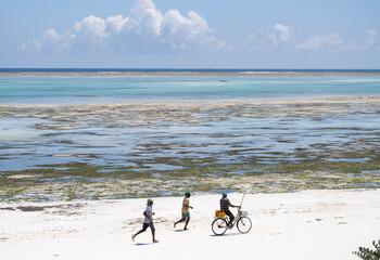 African people running, cycling after fishing, carrying seafood