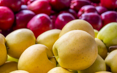 Fresh, organic green apples closeup and red on the blurred background. Sweet and juicy vegan food.
